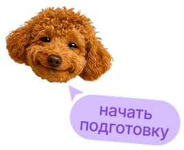 Начни подготовку