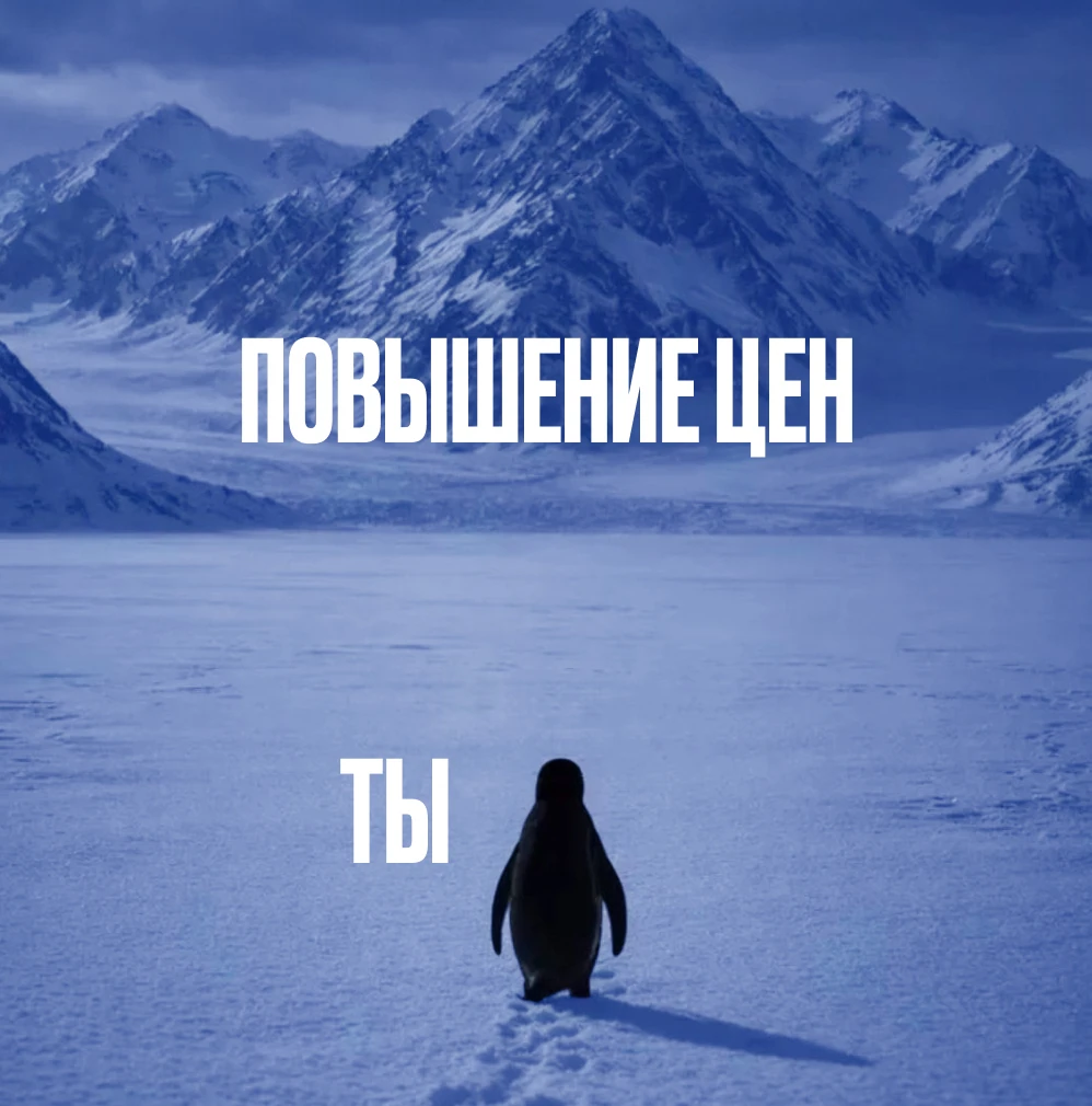 Скидка 25% до 11 января