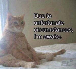 Вводные слова и средства связи